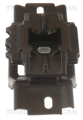 Mounting, engine TRISCAN 850510123 2