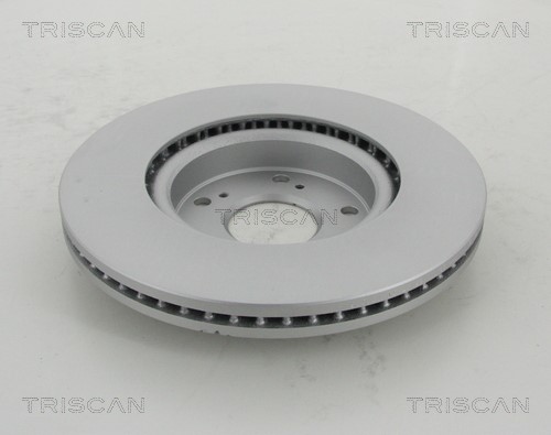 Brake Disc TRISCAN 812040172C 2