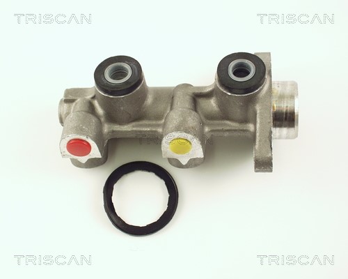 Brake Master Cylinder TRISCAN 813024134