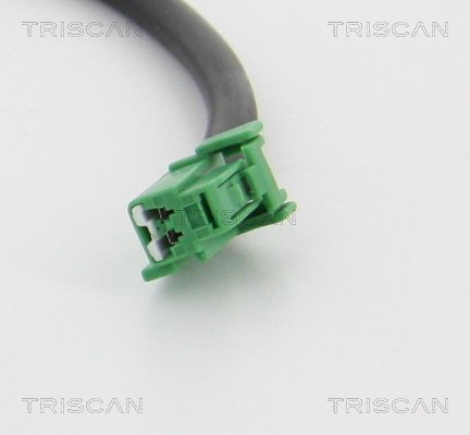 Sensor, wheel speed TRISCAN 818027401 2