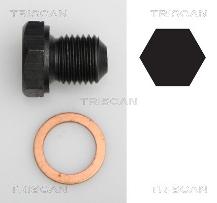 Screw Plug, oil sump TRISCAN 95002902