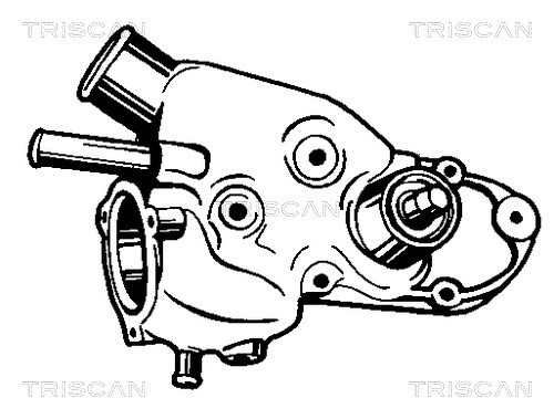 Water Pump, engine cooling TRISCAN 860010069 2