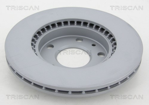 Brake Disc TRISCAN 812025180C 2
