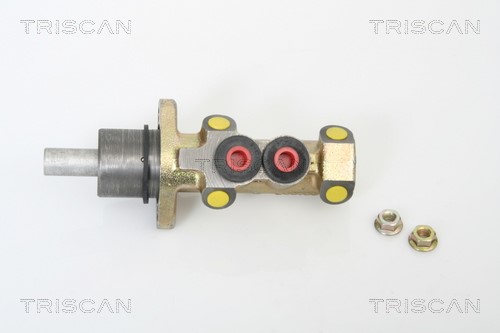 Brake Master Cylinder TRISCAN 813010115