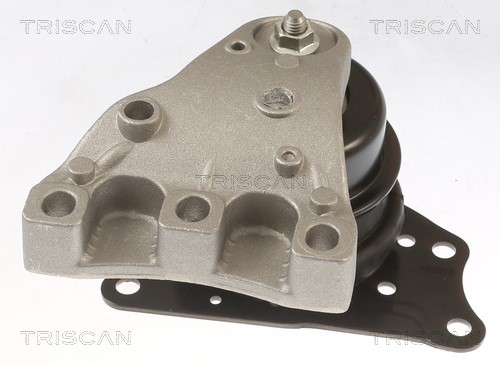 Mounting, engine TRISCAN 850529113