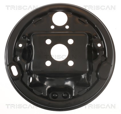 Splash Panel, brake disc TRISCAN 812525202