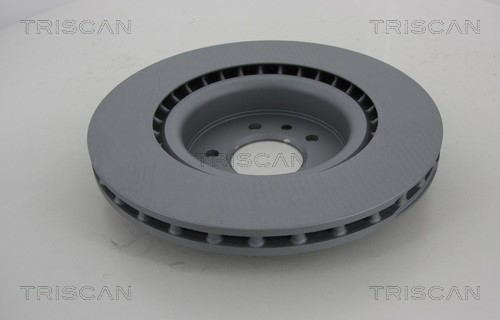 Brake Disc TRISCAN 812017132C 2
