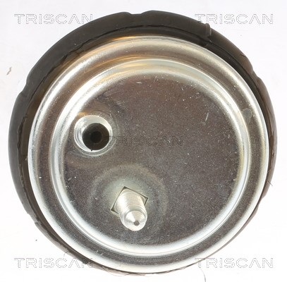 Mounting, engine TRISCAN 850511102 2