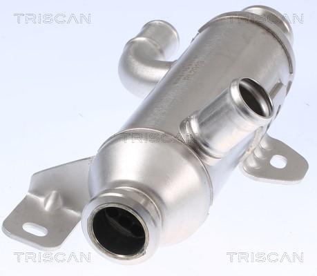 Cooler, exhaust gas recirculation TRISCAN 881328101 2