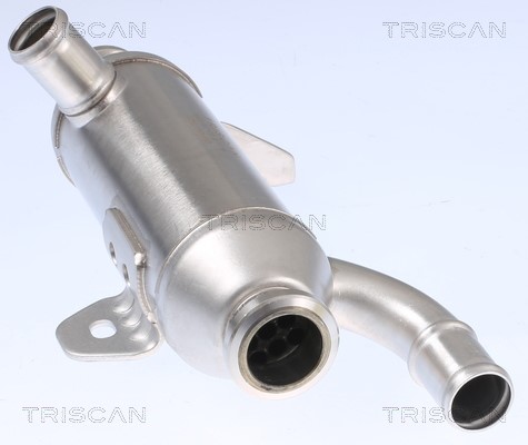Cooler, exhaust gas recirculation TRISCAN 881328101 3