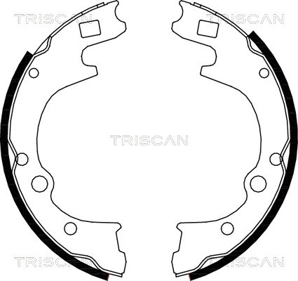 Brake Shoe Set TRISCAN 810050604