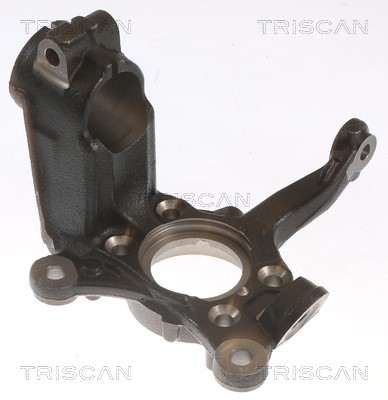 Steering Knuckle, wheel suspension TRISCAN 850029712