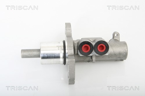 Brake Master Cylinder TRISCAN 813029145