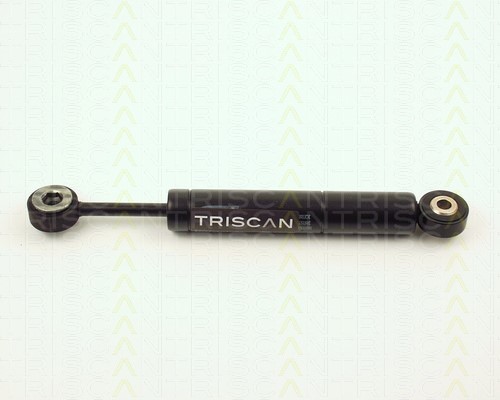 Vibration Damper, V-ribbed belt TRISCAN 87102315