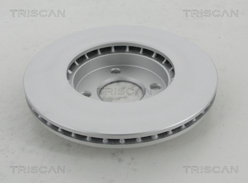 Brake Disc TRISCAN 812014189C 2