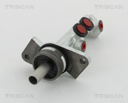 Brake Master Cylinder TRISCAN 813029177