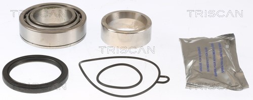 Wheel Bearing Kit TRISCAN 853029215