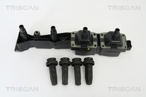 Ignition Coil TRISCAN 886028004