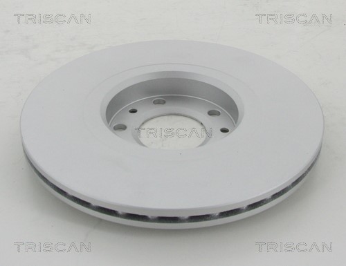 Brake Disc TRISCAN 812025162C 2