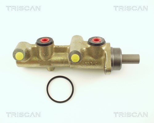 Brake Master Cylinder TRISCAN 813023100