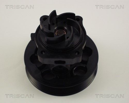 Water Pump, engine cooling TRISCAN 860015030
