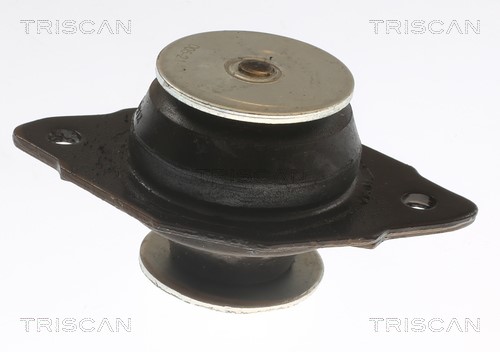 Mounting, engine TRISCAN 850529144