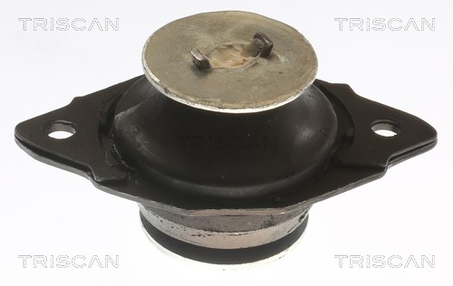 Mounting, engine TRISCAN 850529144 2