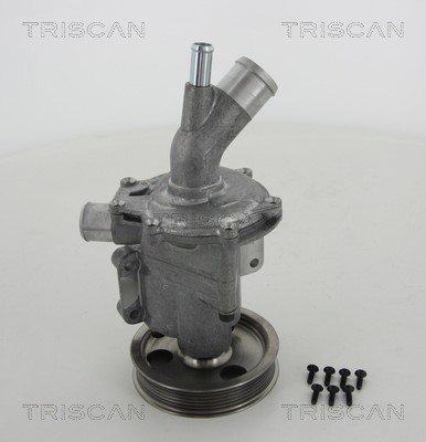 Water Pump, engine cooling TRISCAN 860011966