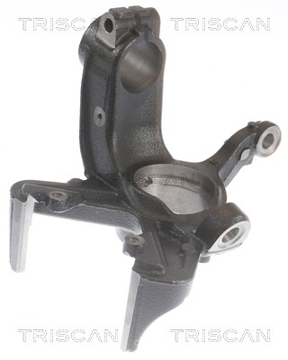 Steering Knuckle, wheel suspension TRISCAN 850029708