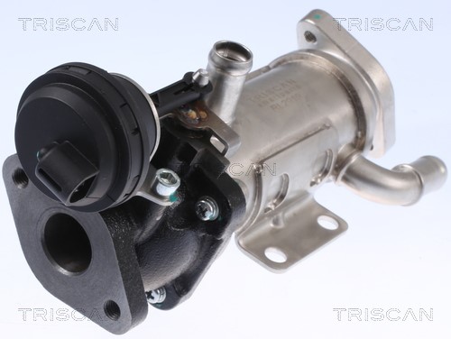 Cooler, exhaust gas recirculation TRISCAN 881325101 2