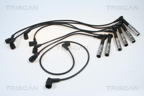 Ignition Cable Kit TRISCAN 886023002