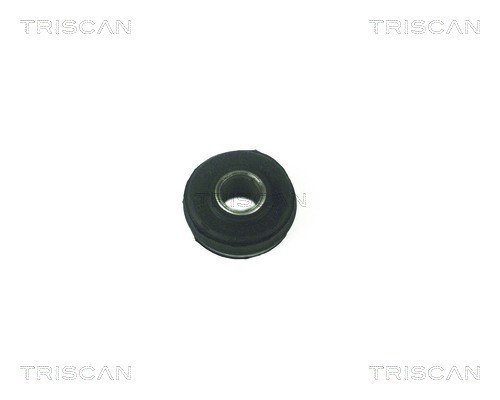 Mounting, control/trailing arm TRISCAN 850016808