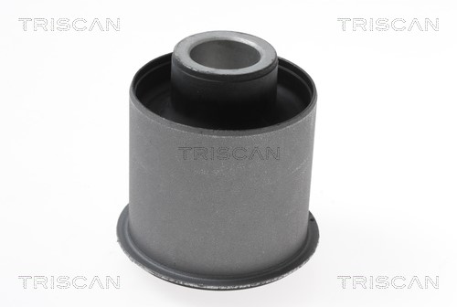 Bushing, axle beam TRISCAN 850021811
