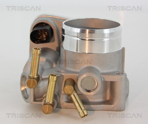 Throttle Body TRISCAN 882029003 3