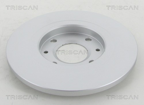Brake Disc TRISCAN 812028110C 2