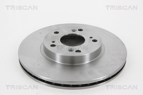Brake Disc TRISCAN 812040129