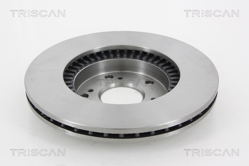 Brake Disc TRISCAN 812040129 2