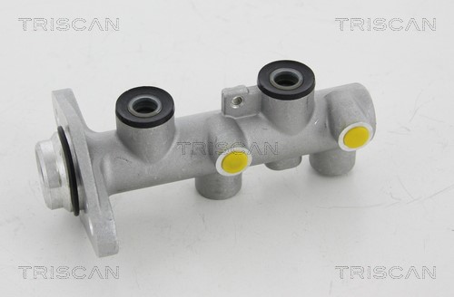 Brake Master Cylinder TRISCAN 813018101