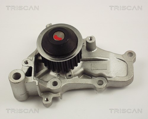 Water Pump, engine cooling TRISCAN 860042006