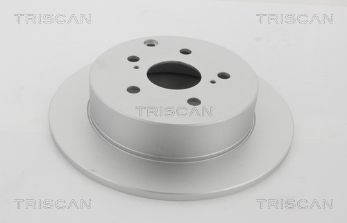 Brake Disc TRISCAN 812013192C