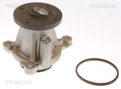 Water Pump, engine cooling TRISCAN 860043026