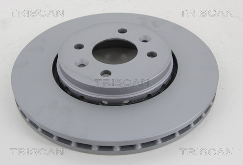 Brake Disc TRISCAN 812025181C 2