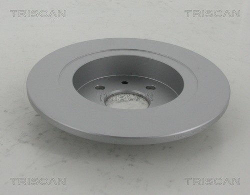Brake Disc TRISCAN 812018122C 2