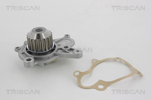 Water Pump, engine cooling TRISCAN 860043011