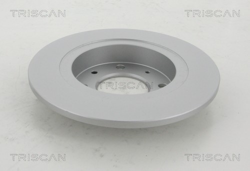 Brake Disc TRISCAN 812018108C 2