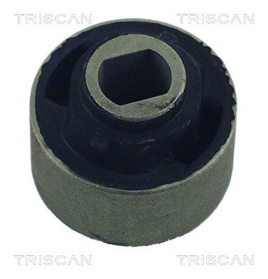 Mounting, control/trailing arm TRISCAN 850050800