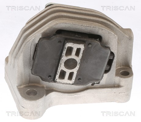 Mounting, engine TRISCAN 850527110 2