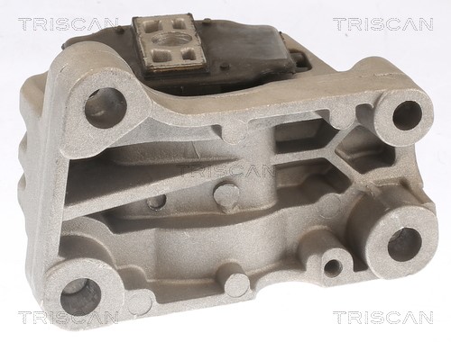Mounting, engine TRISCAN 850527110 3