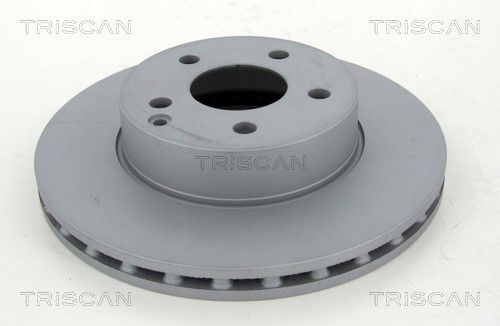 Brake Disc TRISCAN 812023191C
