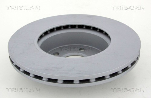 Brake Disc TRISCAN 812023191C 2